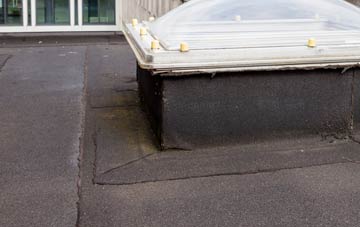 disadvantages of The Diamond flat roofs
