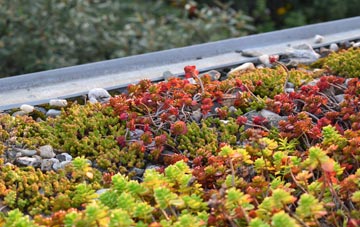 the cost of The Diamond green roof installation
