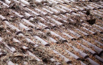 The Diamond roof cleaning companies