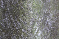 The Diamond fibreglass roof work