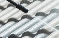 rated The Diamond roof cleaning companies