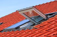 The Diamond roof window